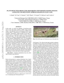 Plant detection from ultra high resolution remote sensing images: A
  Semantic Segmentation approach based on fuzzy loss