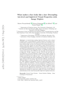 What Makes a Face Look like a Hat: Decoupling Low-level and High-level
  Visual Properties with Image Triplets