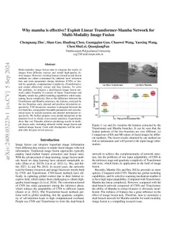 Why mamba is effective? Exploit Linear Transformer-Mamba Network for
  Multi-Modality Image Fusion