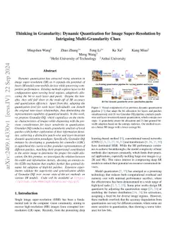 Thinking in Granularity: Dynamic Quantization for Image Super-Resolution
  by Intriguing Multi-Granularity Clues