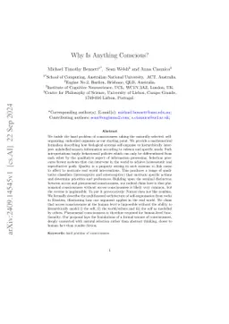 Why Is Anything Conscious?