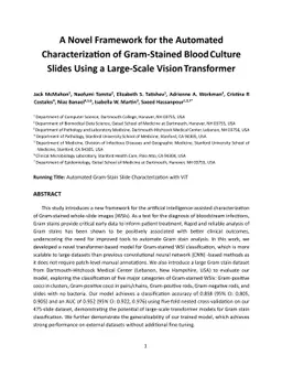 A Novel Framework for the Automated Characterization of Gram-Stained
  Blood Culture Slides Using a Large-Scale Vision Transformer