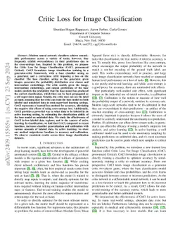 Critic Loss for Image Classification