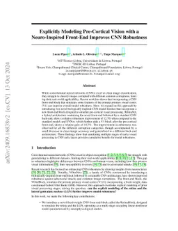 Explicitly Modeling Pre-Cortical Vision with a Neuro-Inspired Front-End
  Improves CNN Robustness