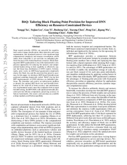 BitQ: Tailoring Block Floating Point Precision for Improved DNN
  Efficiency on Resource-Constrained Devices