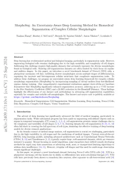 MorphoSeg: An Uncertainty-Aware Deep Learning Method for Biomedical Segmentation of Complex Cellular Morphologies