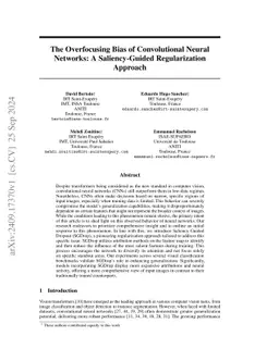 The Overfocusing Bias of Convolutional Neural Networks: A
  Saliency-Guided Regularization Approach