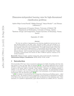 Dimension-independent learning rates for high-dimensional classification
  problems