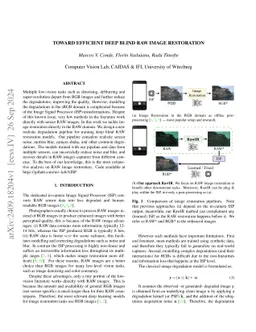 Toward Efficient Deep Blind RAW Image Restoration
