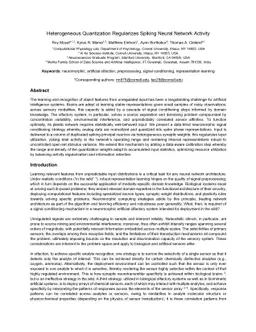 Heterogeneous quantization regularizes spiking neural network activity