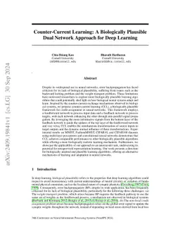 Counter-Current Learning: A Biologically Plausible Dual Network Approach
  for Deep Learning
