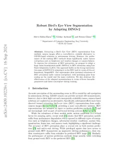 Robust Bird's Eye View Segmentation by Adapting DINOv2