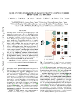 Scale-specific auxiliary multi-task contrastive learning for deep liver
  vessel segmentation