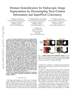 Domain Generalization for Endoscopic Image Segmentation by Disentangling
  Style-Content Information and SuperPixel Consistency