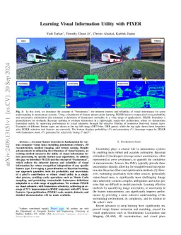 Learning Visual Information Utility with PIXER