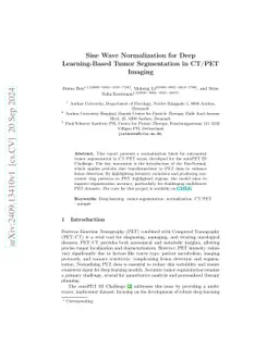 Sine Wave Normalization for Deep Learning-Based Tumor Segmentation in
  CT/PET Imaging