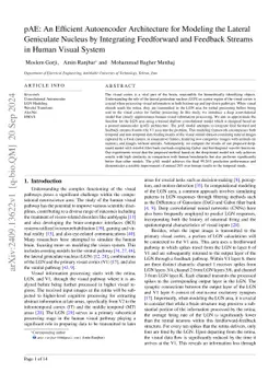 pAE: An Efficient Autoencoder Architecture for Modeling the Lateral
  Geniculate Nucleus by Integrating Feedforward and Feedback Streams in Human
  Visual System