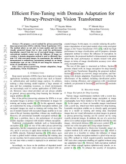 Efficient Fine-Tuning with Domain Adaptation for Privacy-Preserving
  Vision Transformer