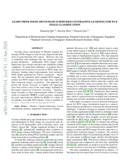 Learn From Zoom: Decoupled Supervised Contrastive Learning For WCE Image
  Classification