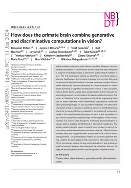 How does the primate brain combine generative and discriminative
  computations in vision?