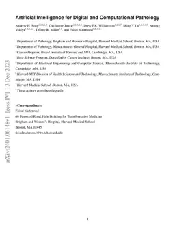 Artificial Intelligence for Digital and Computational Pathology