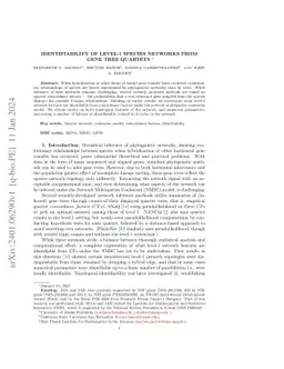 Identifiability of Level-1 Species Networks from Gene Tree Quartets