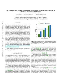 Self-supervised Learning of Dense Hierarchical Representations for
  Medical Image Segmentation