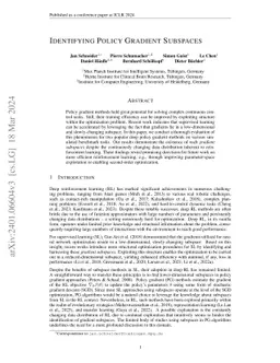 Identifying Policy Gradient Subspaces