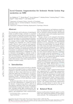 Local Gamma Augmentation for Ischemic Stroke Lesion Segmentation on MRI
