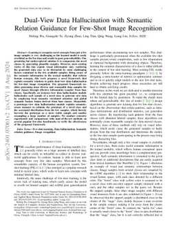 Dual-View Data Hallucination with Semantic Relation Guidance for
  Few-Shot Image Recognition