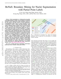 BoNuS: Boundary Mining for Nuclei Segmentation with Partial Point Labels
