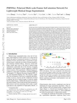 PMFSNet: Polarized Multi-scale Feature Self-attention Network For
  Lightweight Medical Image Segmentation