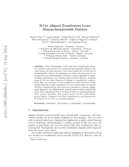 B-Cos Aligned Transformers Learn Human-Interpretable Features