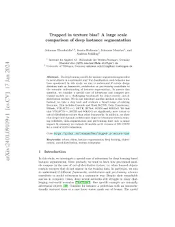 Trapped in texture bias? A large scale comparison of deep instance
  segmentation