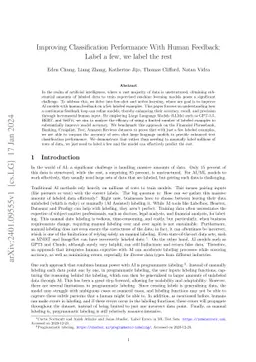 Improving Classification Performance With Human Feedback: Label a few,
  we label the rest