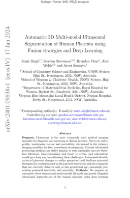 Automatic 3D Multi-modal Ultrasound Segmentation of Human Placenta using
  Fusion Strategies and Deep Learning
