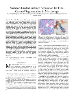Skeleton-Guided Instance Separation for Fine-Grained Segmentation in
  Microscopy