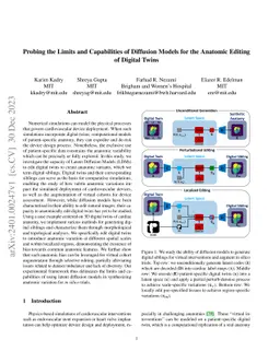 Probing the Limits and Capabilities of Diffusion Models for the Anatomic
  Editing of Digital Twins