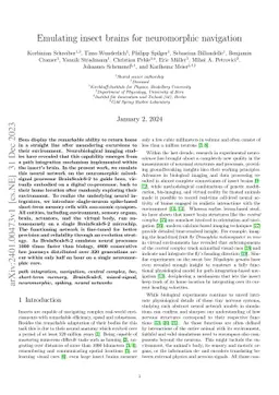 Emulating insect brains for neuromorphic navigation
