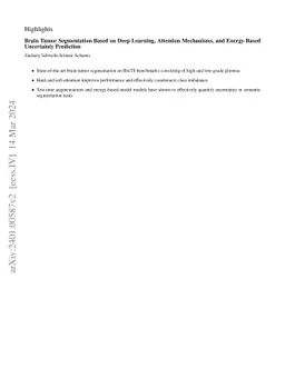 Brain Tumor Segmentation Based on Deep Learning, Attention Mechanisms,
  and Energy-Based Uncertainty Prediction