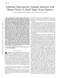 Exploring Hyperspectral Anomaly Detection with Human Vision: A Small
  Target Aware Detector