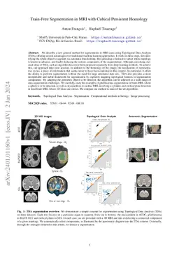 Train-Free Segmentation in MRI with Cubical Persistent Homology