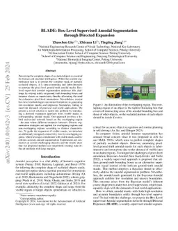 BLADE: Box-Level Supervised Amodal Segmentation through Directed
  Expansion