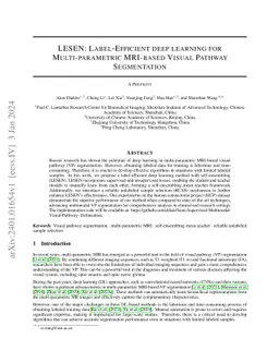 LESEN: Label-Efficient deep learning for Multi-parametric MRI-based
  Visual Pathway Segmentation