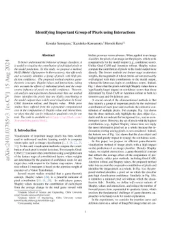 Identifying Important Group of Pixels using Interactions