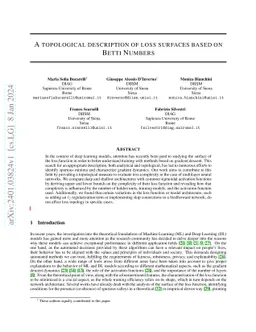 A topological description of loss surfaces based on Betti Numbers