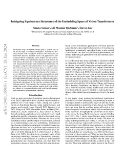 Intriguing Equivalence Structures of the Embedding Space of Vision
  Transformers