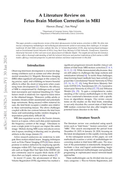 A Literature Review on Fetus Brain Motion Correction in MRI