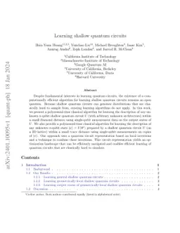 Learning shallow quantum circuits