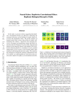 Neural Echos: Depthwise Convolutional Filters Replicate Biological
  Receptive Fields